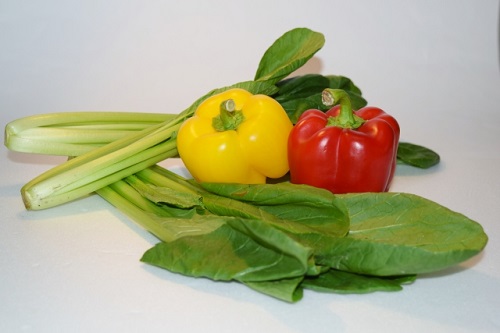 家庭菜園 初心者におすすめの野菜 小松菜の育て方！