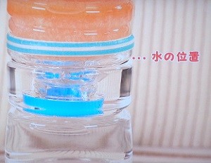 ペットボトルでリーフレタスを水耕栽培